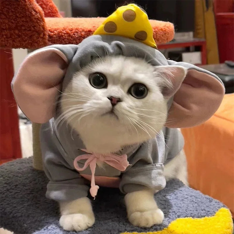 Adorable cat in a cozy gray cat mouse costume with ears and hat for playful pet dress-up