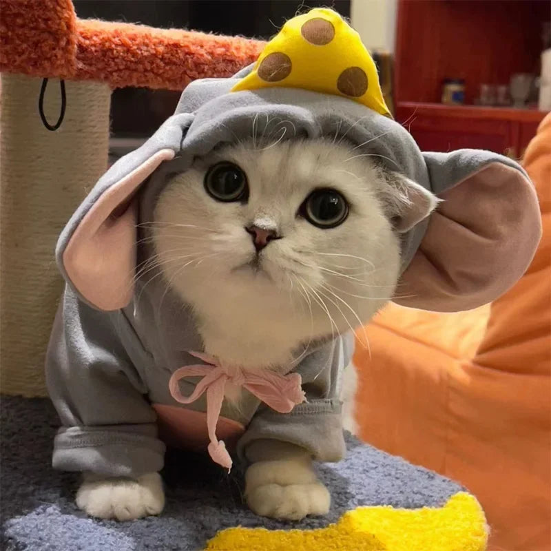 Adorable kitten wearing a cat mouse costume with a yellow polka dot hat and grey outfit