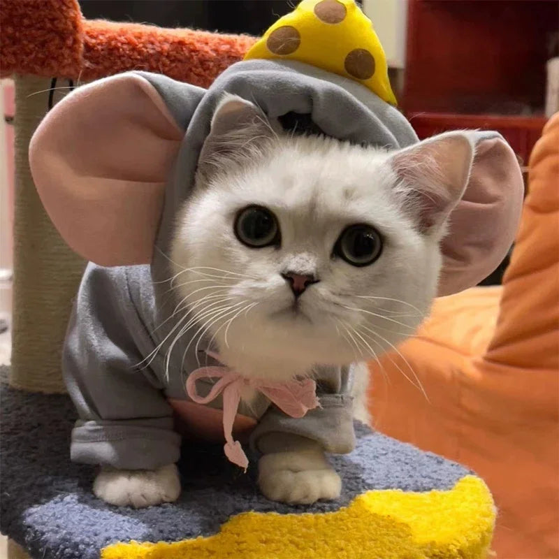 Adorable kitten in cat mouse costume featuring ears and a cheese hat for playful pets