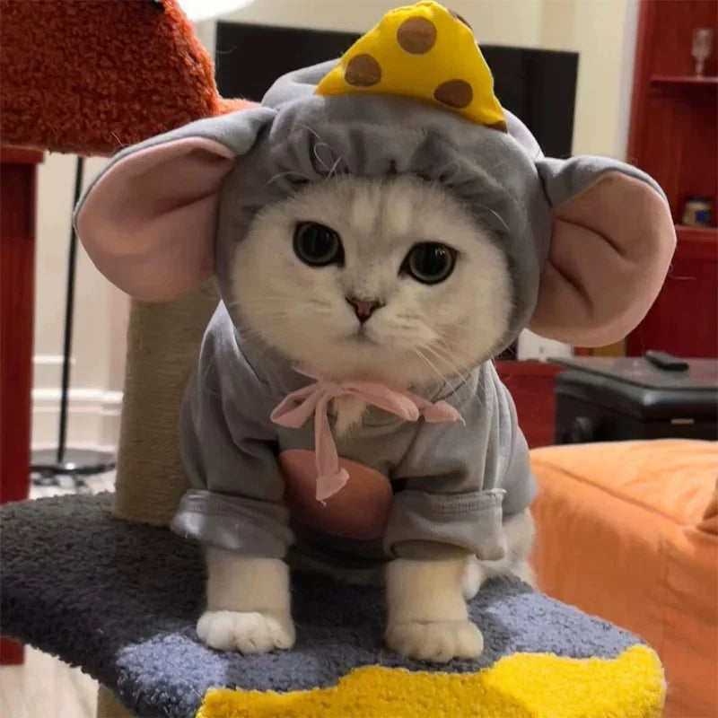Adorable cat in a cat mouse costume with ears and cheese hat, perfect for playful pets