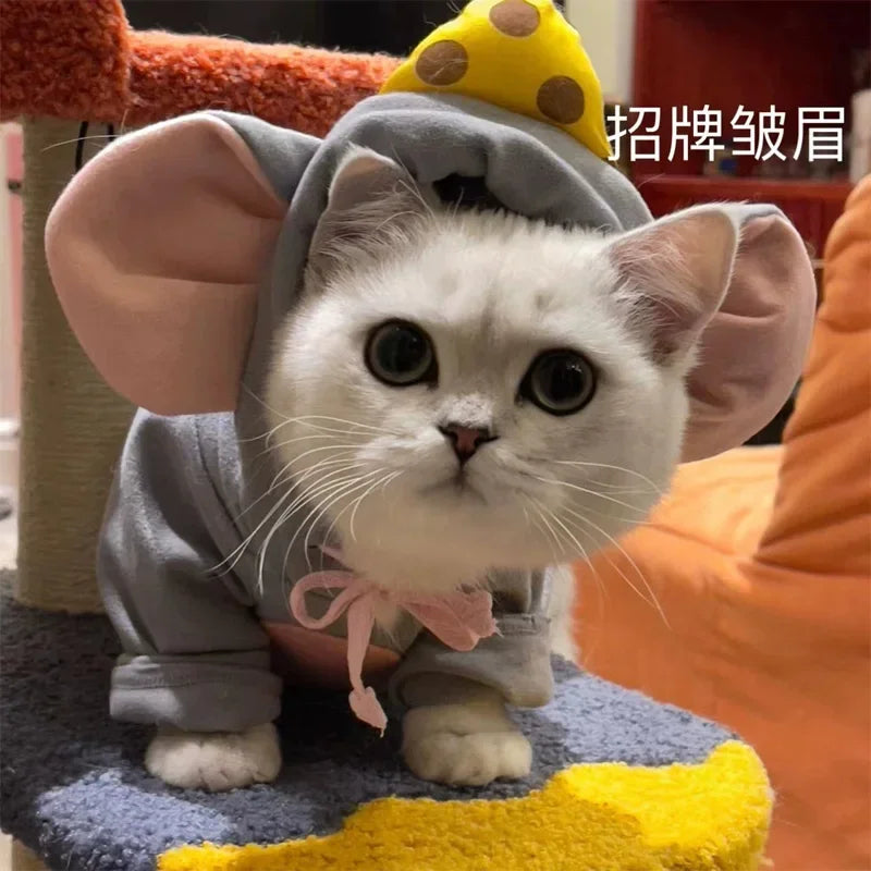 Adorable cat wearing a cat mouse costume with ears and a cheese-themed hoodie for playful pets