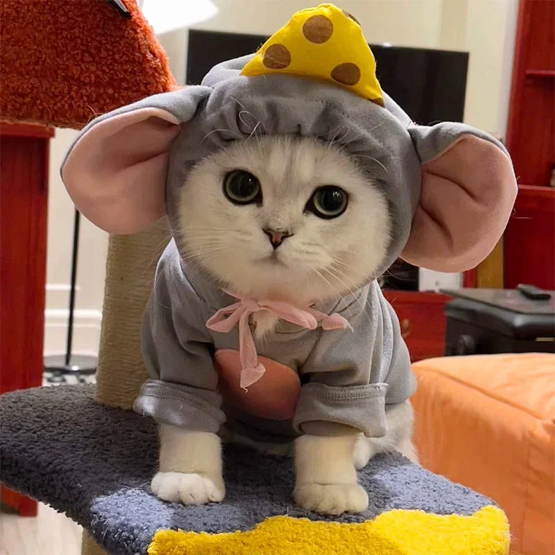 Adorable kitten in a blue cat mouse costume with pink ears and a cheese hat