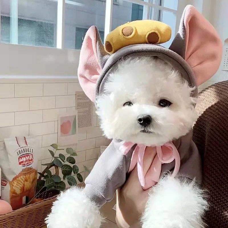 Adorable pet dressed in a cat mouse costume with large ears and a playful design