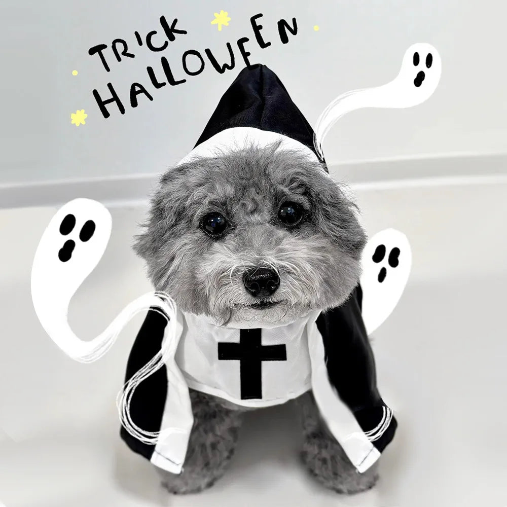 Adorable dog wearing a cat nun costume for cats and small dogs with ghostly decorations