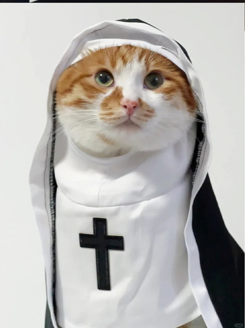 Adorable orange tabby wearing a cat nun costume for cats and small dogs with a black cross