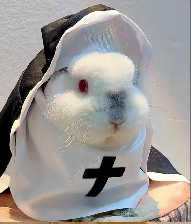 Adorable rabbit wearing a cat nun costume for cats and small dogs with a cross design
