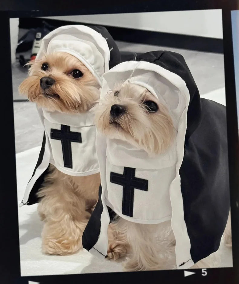 Adorable cats in cat nun costume for cats and small dogs with black and white design
