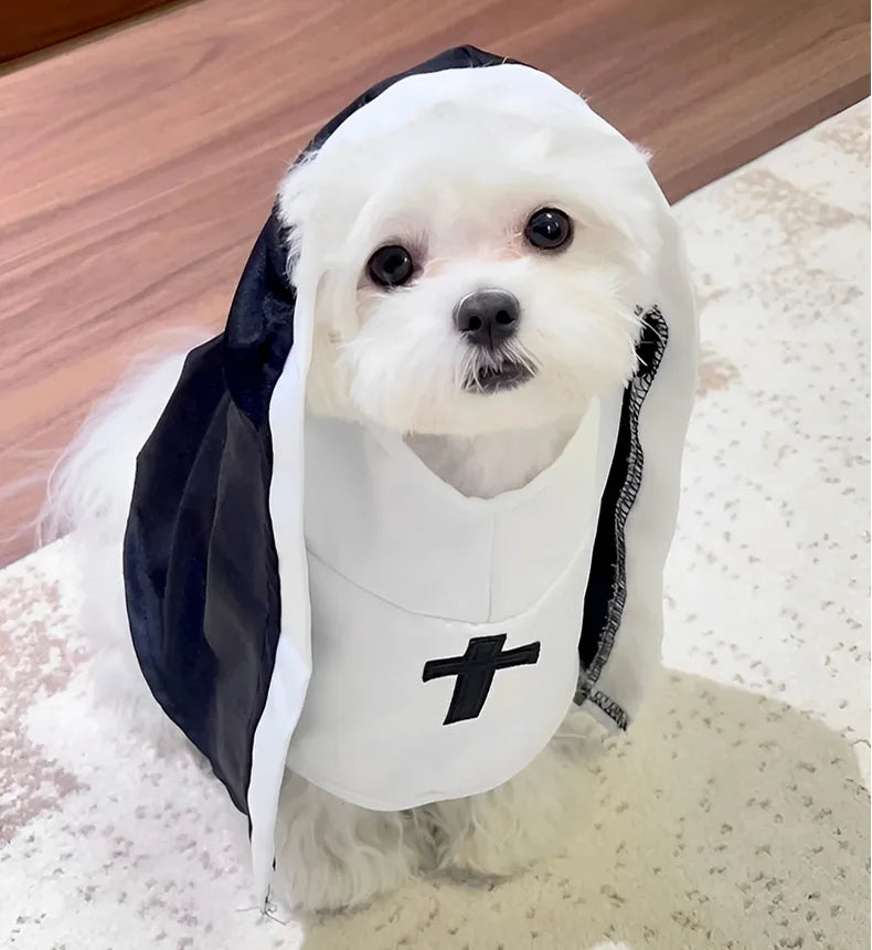 Adorable cat nun costume for cats and small dogs featuring a black and white design