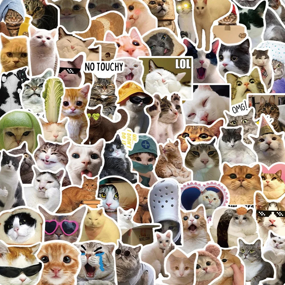 Collage of various funny cat stickers featuring different expressions and sayings from Zoomies & Co