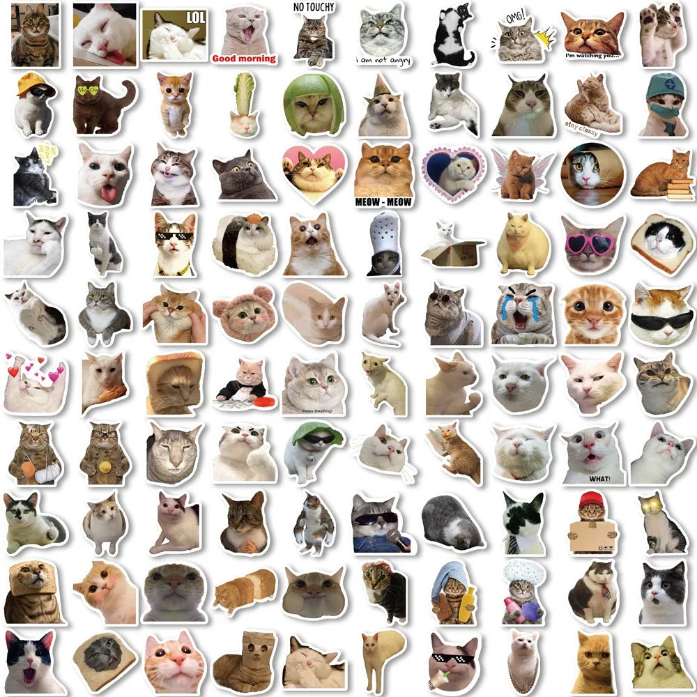 Collection of funny cat stickers featuring various expressions and poses for cat lovers