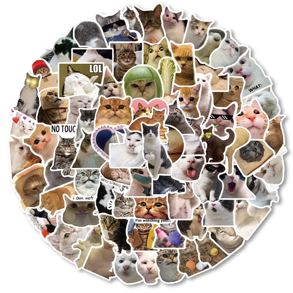 Zoomies & Co Collage of Funny Cat Memes and Images Printed on Round Sticky Notes