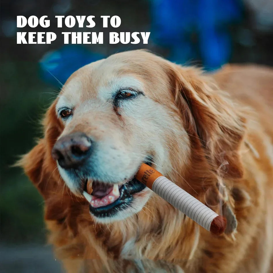 Golden Retriever playing with Cheeky Cigarette Plush Dog Toy from Zoomies & Co