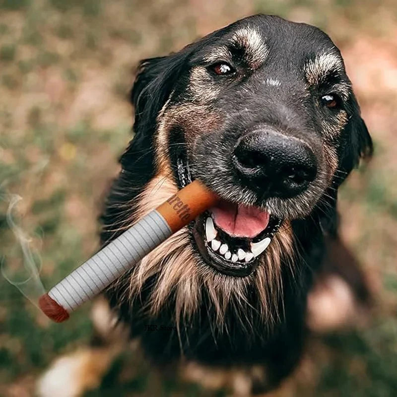 Cheeky Cigarette Plush Dog Toy held by a smiling dog outdoors, perfect for playful pups