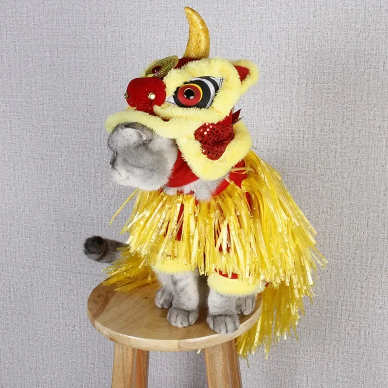 Cute cat wearing a Chinese dragon dog costume with frills and festive decorations