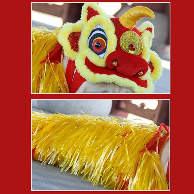 Vibrant Chinese dragon dog costume with a colorful headpiece and golden fringe for festive occasions