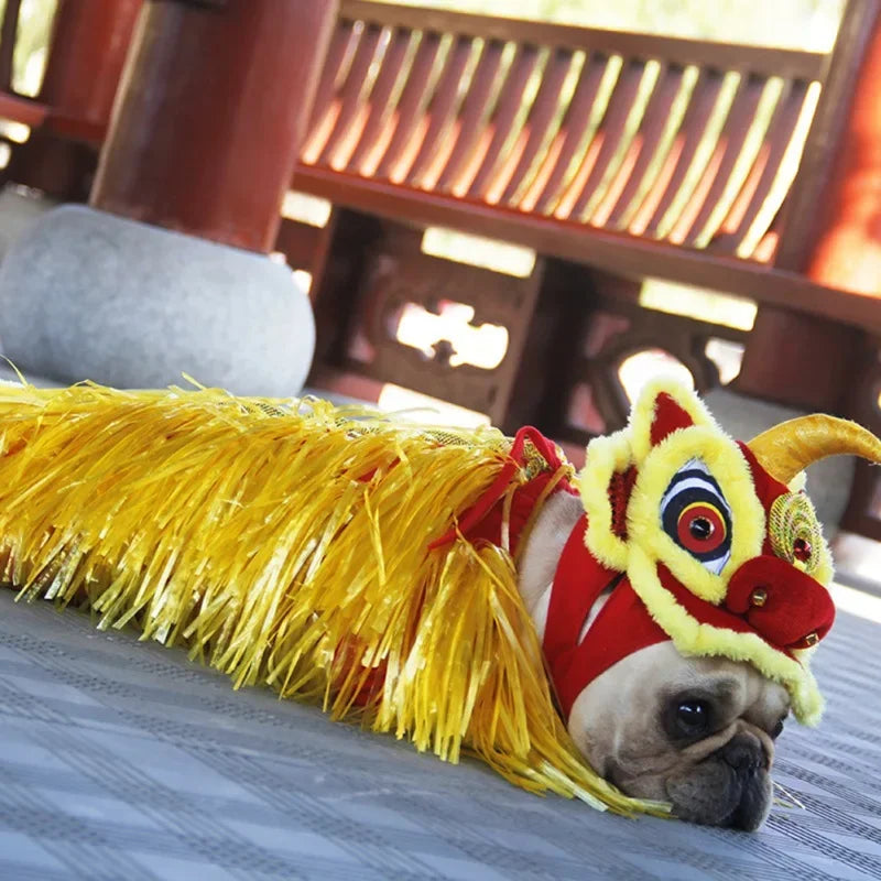 French Bulldog in a Chinese dragon dog costume with vibrant red and gold details for festive occasions