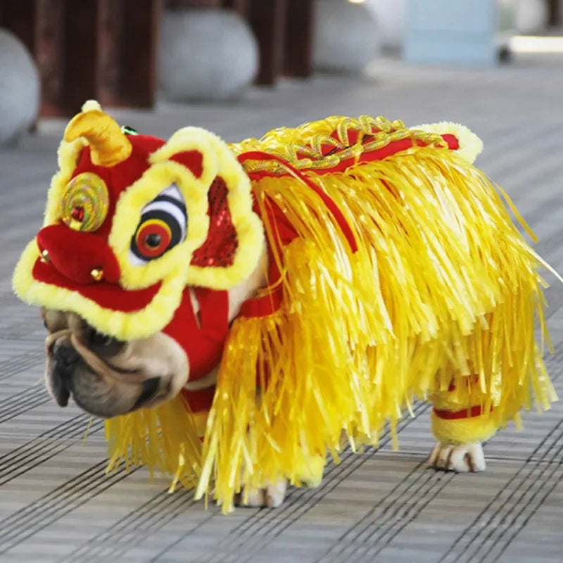 Adorable dog in a Chinese dragon dog costume with vibrant red and yellow colors and decorative details