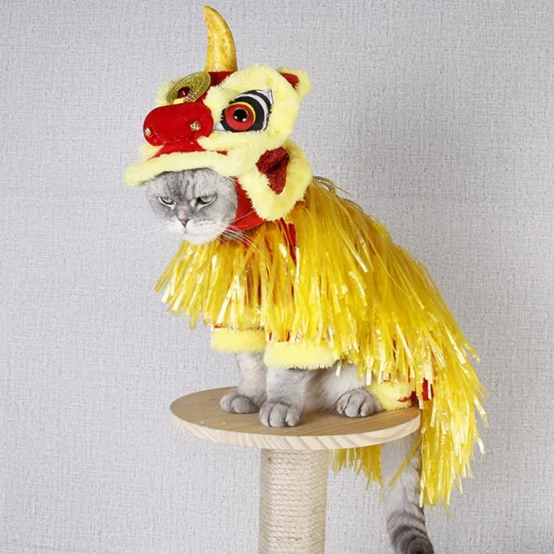Adorable cat wearing a Chinese dragon dog costume with yellow fringe and dragon headpiece