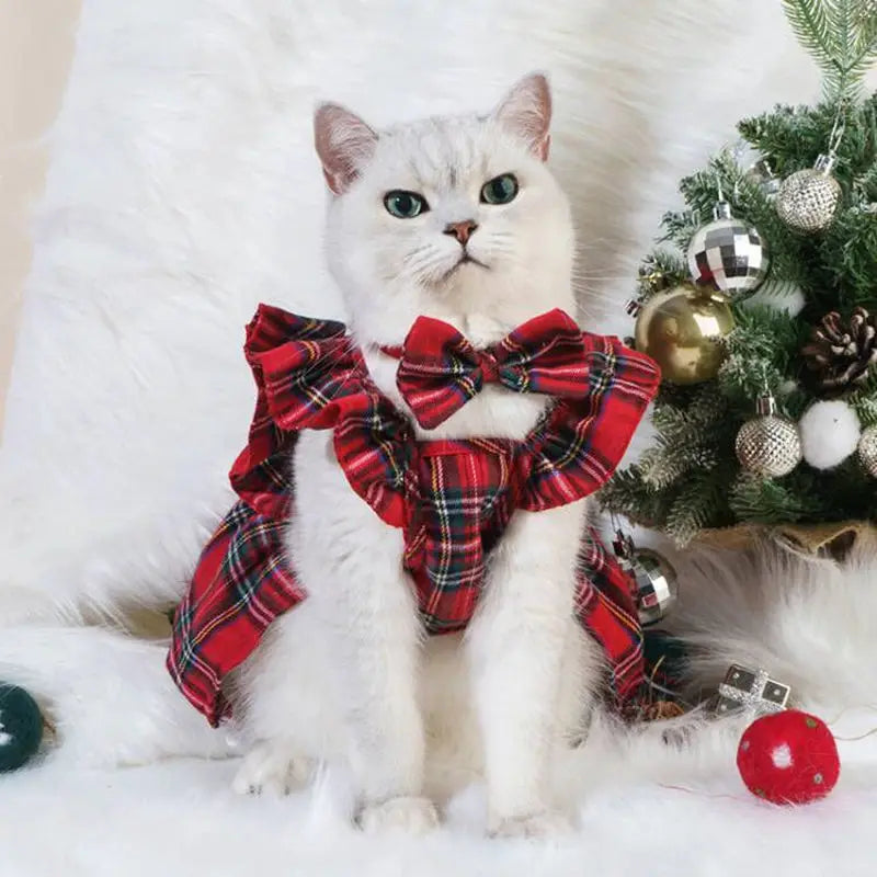 Cute white cat wearing a festive red plaid Christmas pet dress for cats and dogs with a bow tie