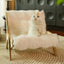 CloudPaw Plush Cat Lounge Chair for comfortable relaxation with soft faux fur fabric