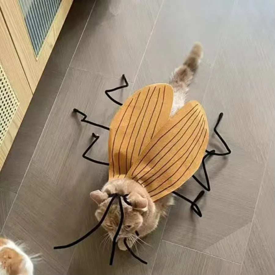 Funny cockroach costume for cats featuring wings and antennae for playful pet dress-up