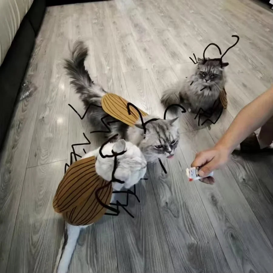 Three cats wearing a cockroach costume for cats, complete with antennae and wings