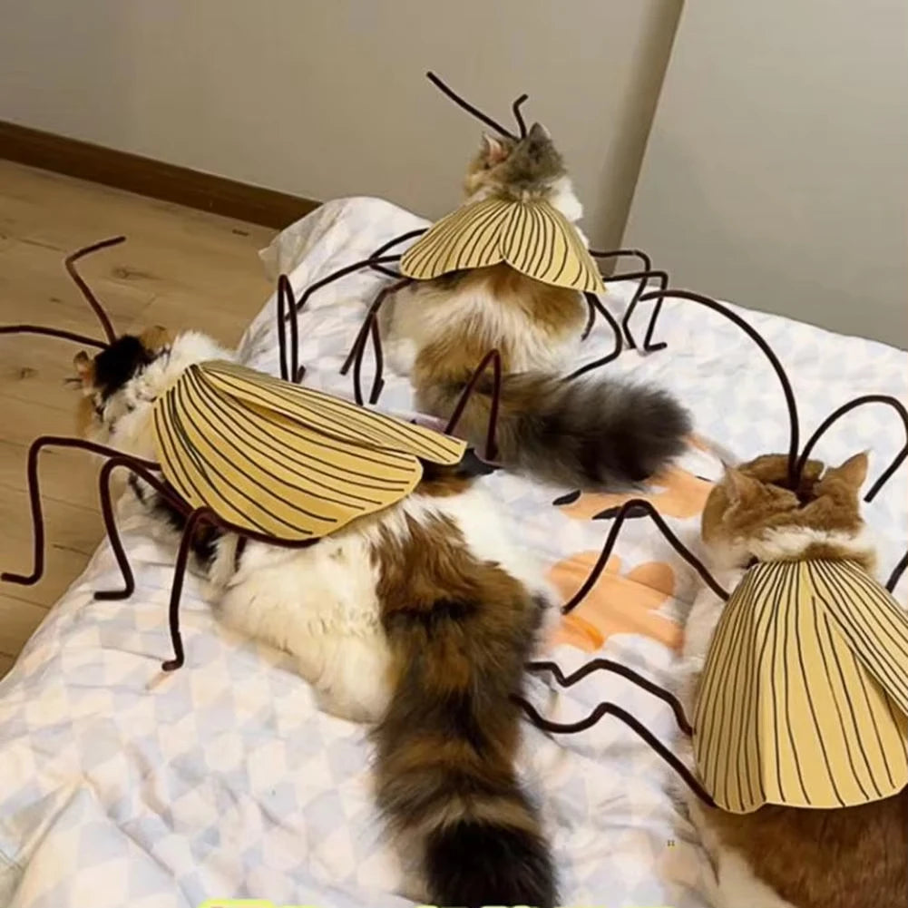Three cats wearing a cockroach costume for cats with yellow and brown striped designs