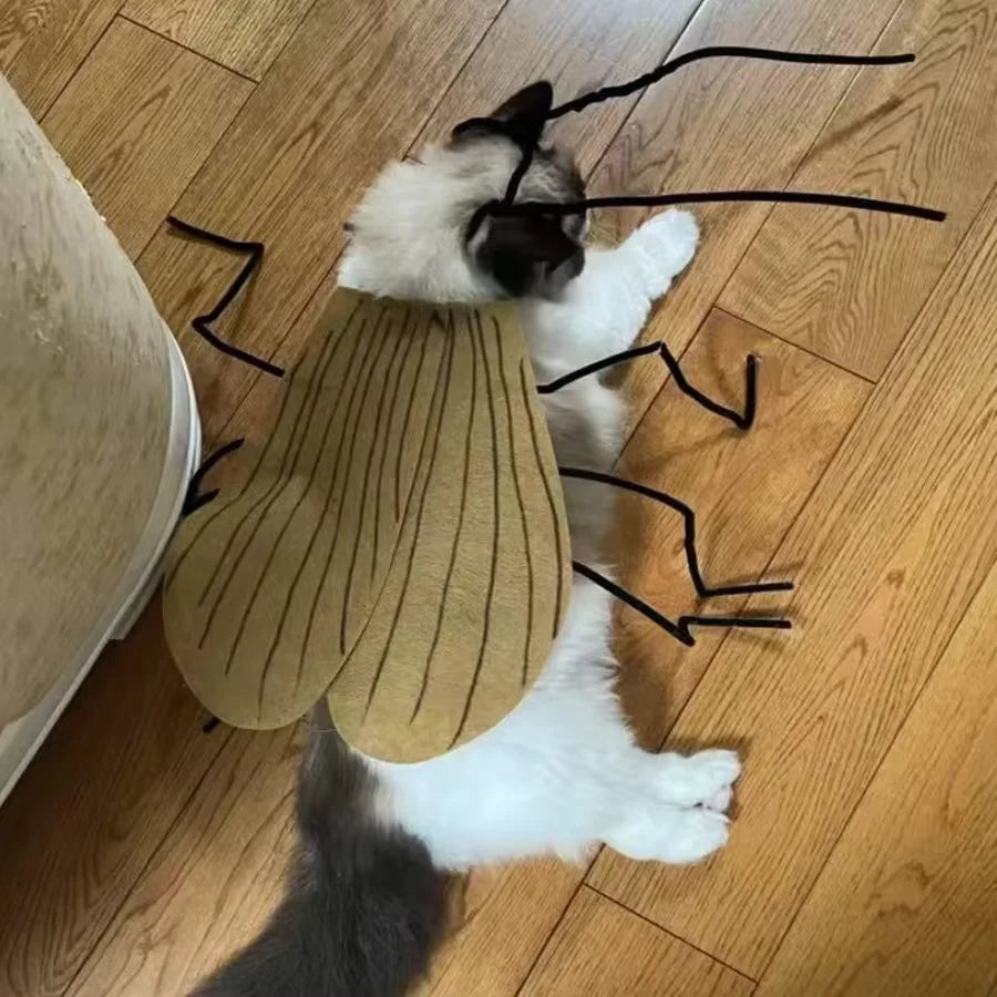 Cat wearing a cockroach costume for cats with antennae and wings on a wooden floor