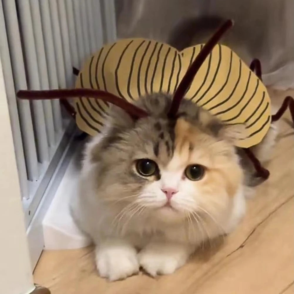 Cat wearing a funny cockroach costume for cats with antennae and wings