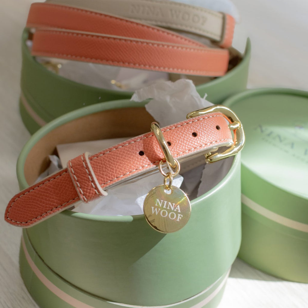 Collar - Vegan Leather - Rio