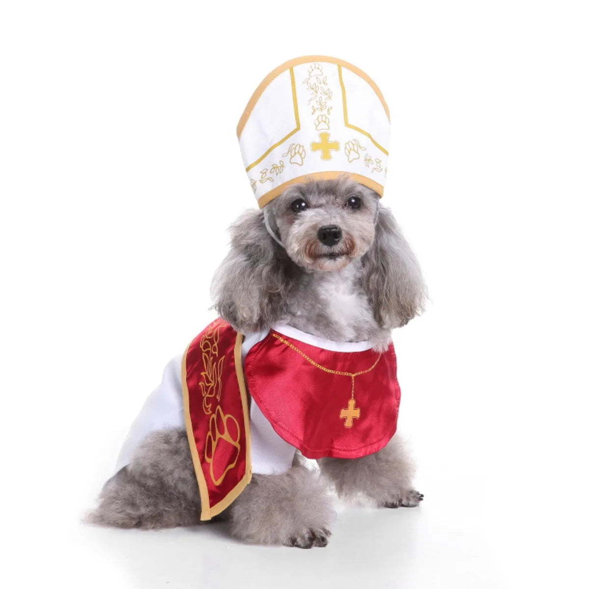 Adorable dog in a comfortable pet pope costume with a red and white robe and ornate hat