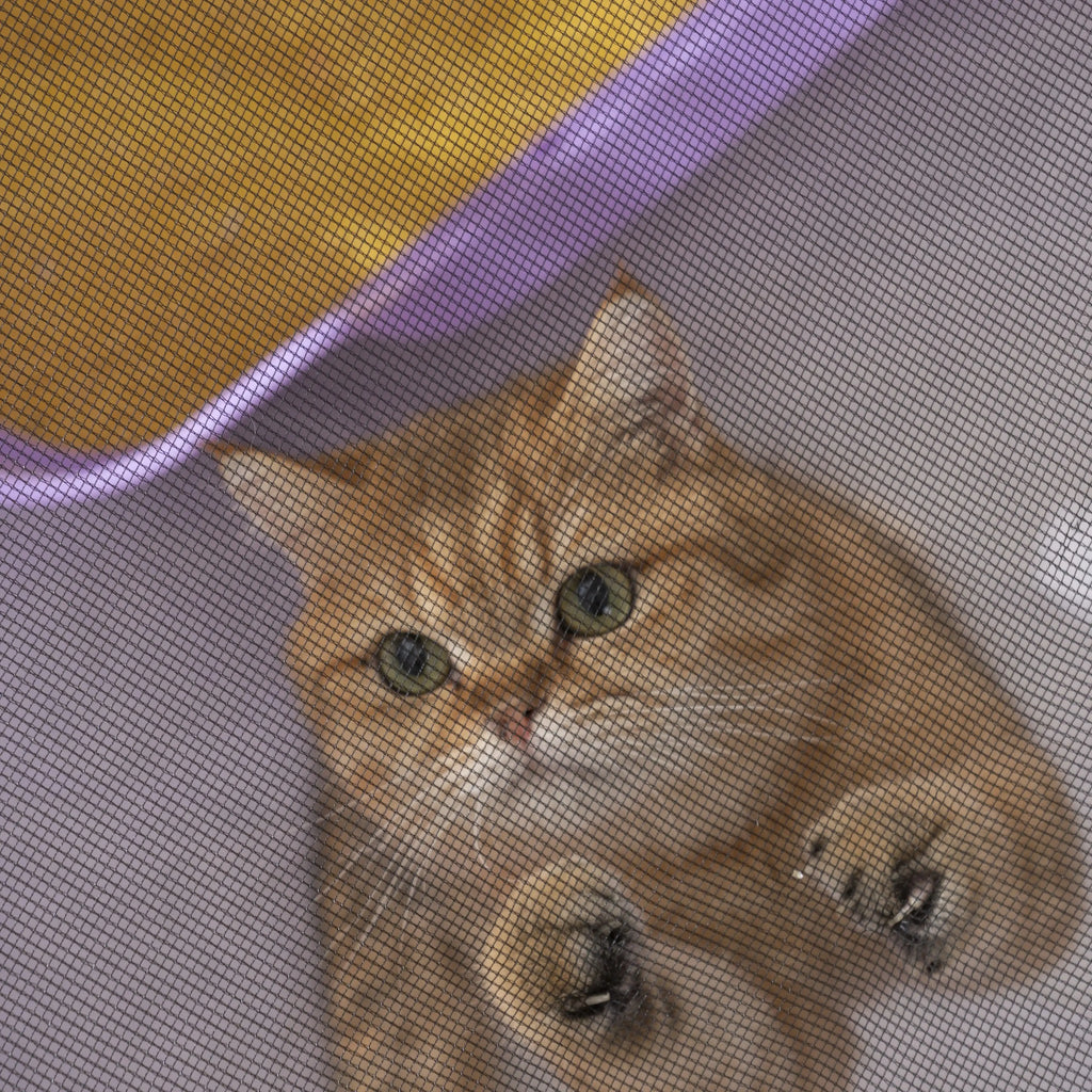 CozyCircle Pet Nest for cats with soft, comfortable design and vibrant colors for relaxation