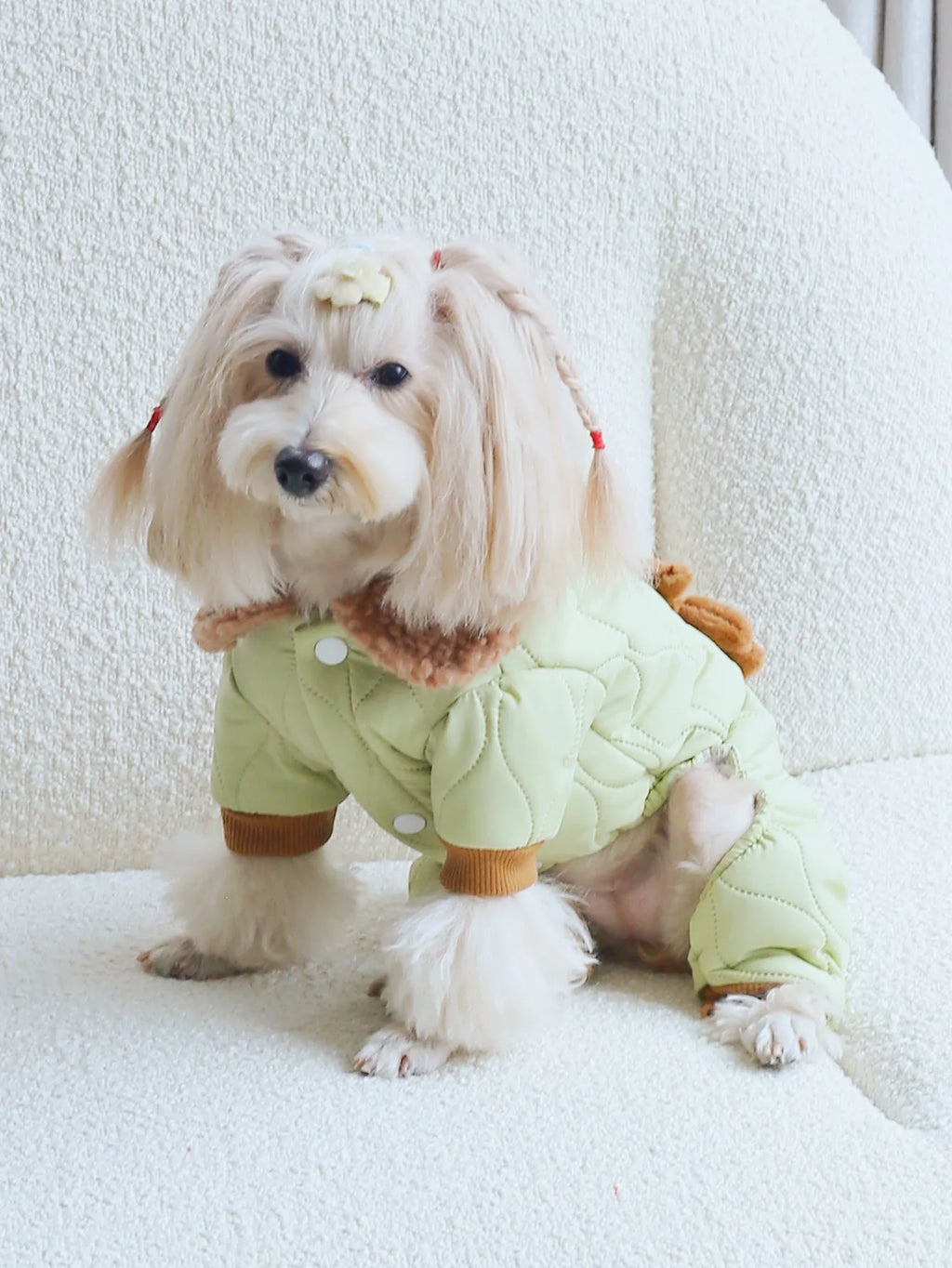 Adorable dog wearing cute dog pajamas with plush accessory in light green color for cozy comfort