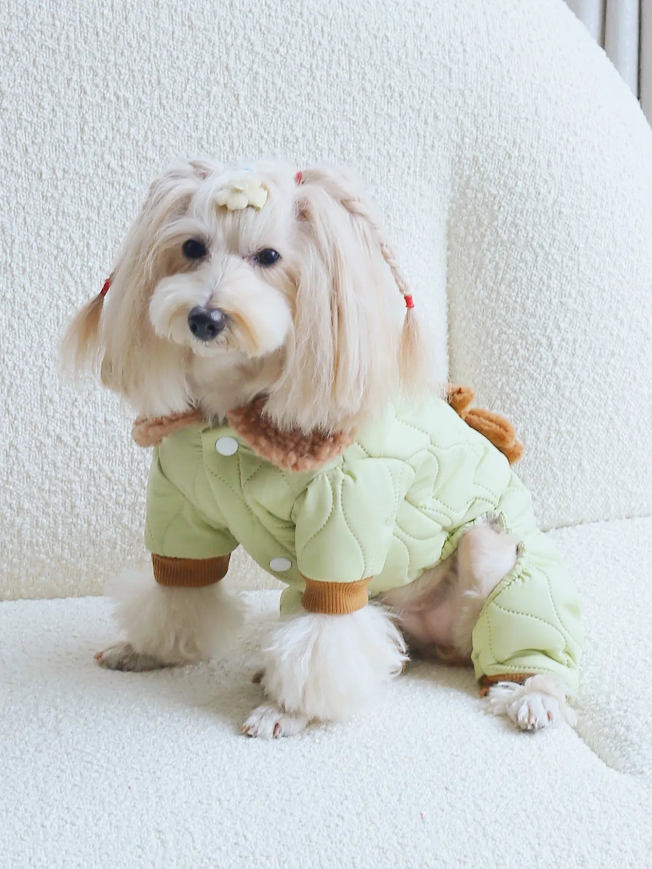 Adorable dog wearing cute dog pajamas with plush accessory in light green color for cozy comfort