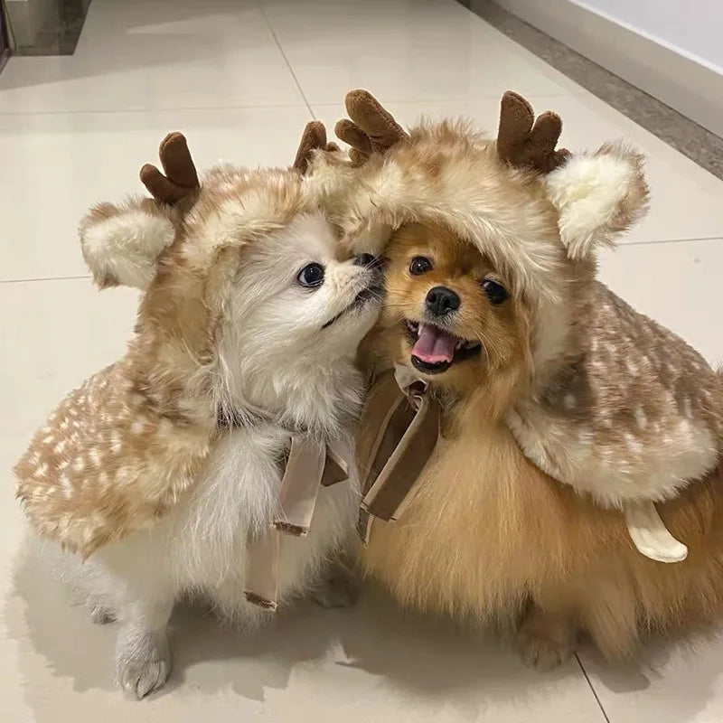 Two puppies in adorable outfits featuring a cute dog reindeer costume for puppies with antlers and ear details