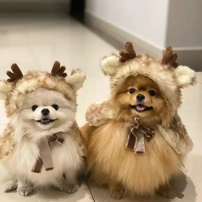 Two adorable puppies in a cute dog reindeer costume for puppies with antler hoods