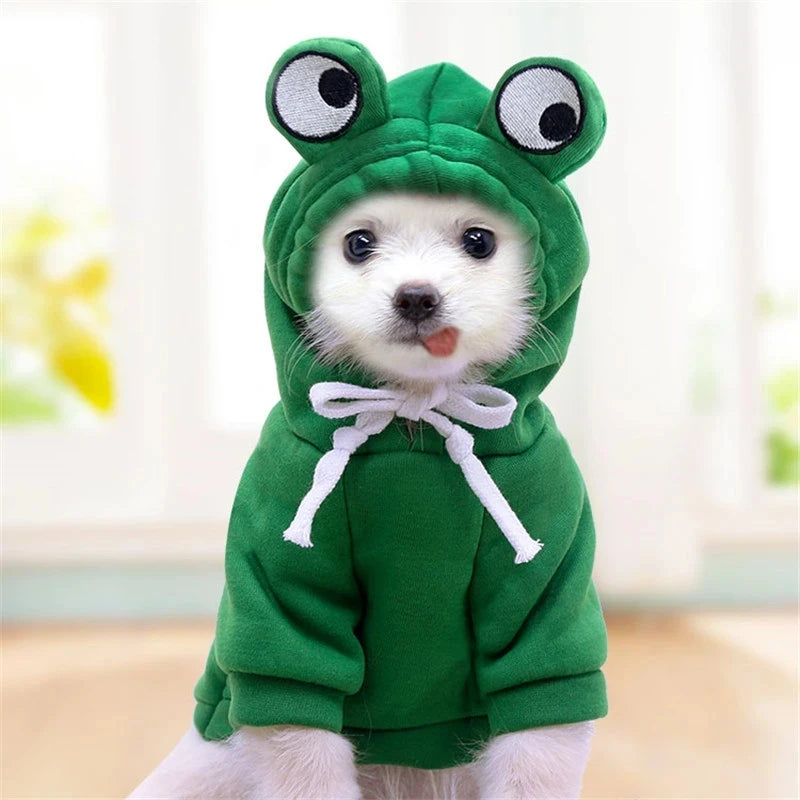 Cute fruit animal dog hoodie in green with frog eyes and drawstring for small dogs
