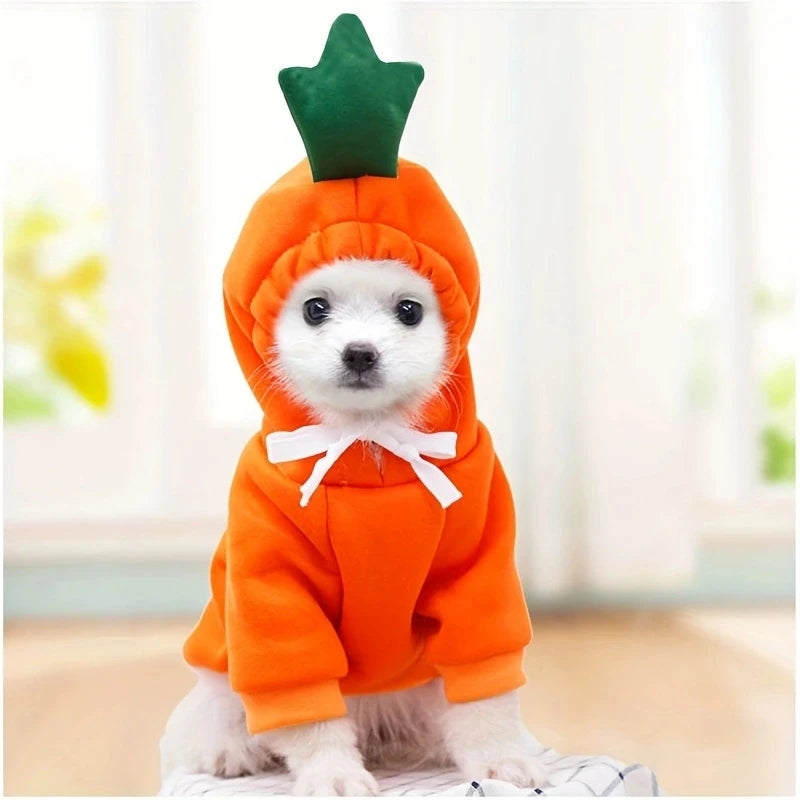 Cute fruit animal dog hoodie in orange with green stem, perfect for small dogs and pet lovers