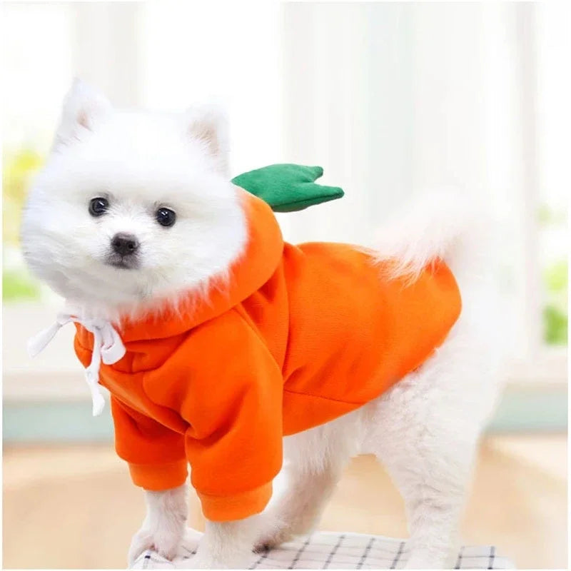 Cute fruit animal dog hoodie in orange with green leaf detail for small dogs
