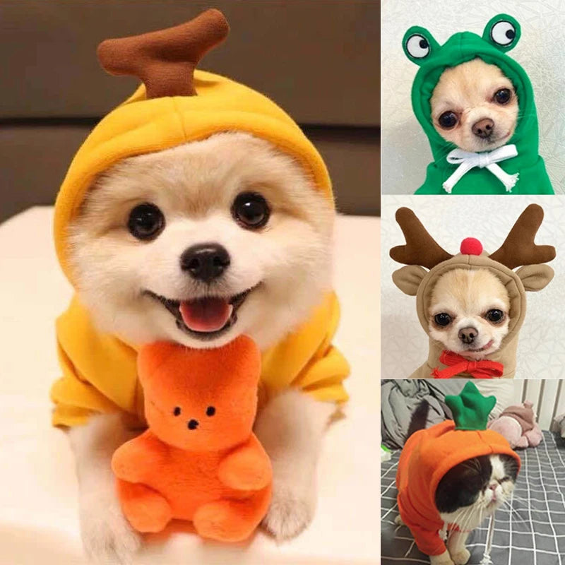 Cute fruit animal dog hoodie in yellow with a smiling Pomeranian wearing it