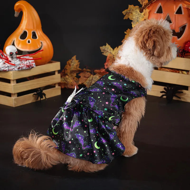 Adorable medium dog in a cute Halloween costume for medium dogs featuring a spooky design