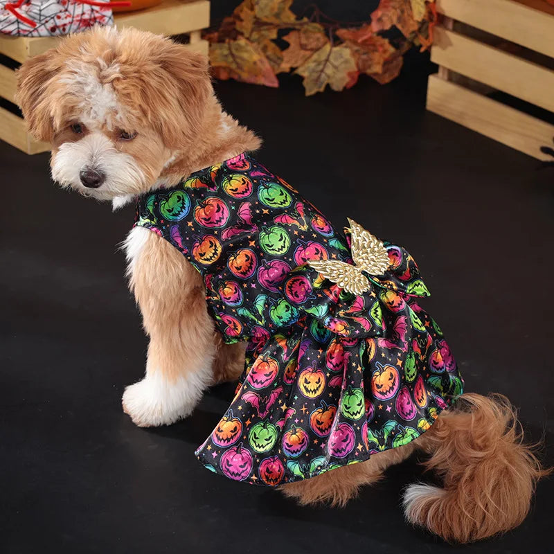 Adorable Halloween costume for medium dogs featuring a colorful pumpkin design and a cute bow