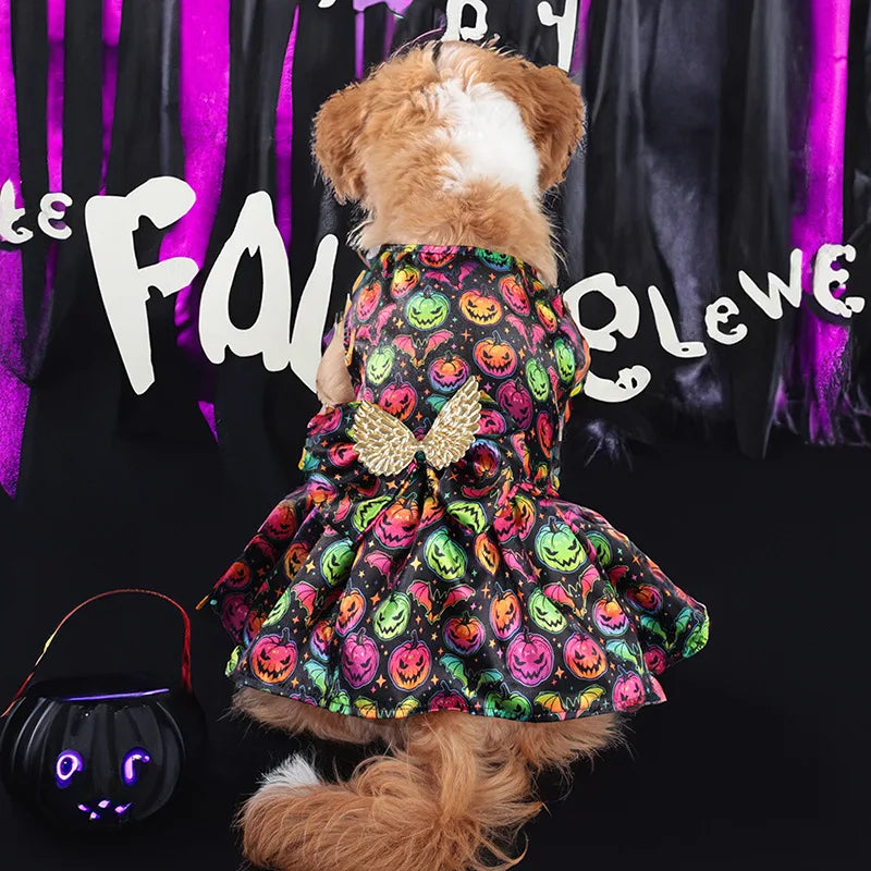 Adorable medium dog wearing a cute Halloween costume for medium dogs with a colorful pumpkin design