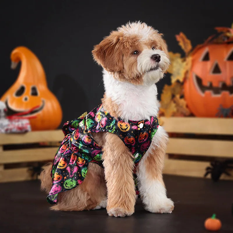 Medium dog in a colorful Halloween costume featuring pumpkin designs, perfect for a cute Halloween costume for medium dogs