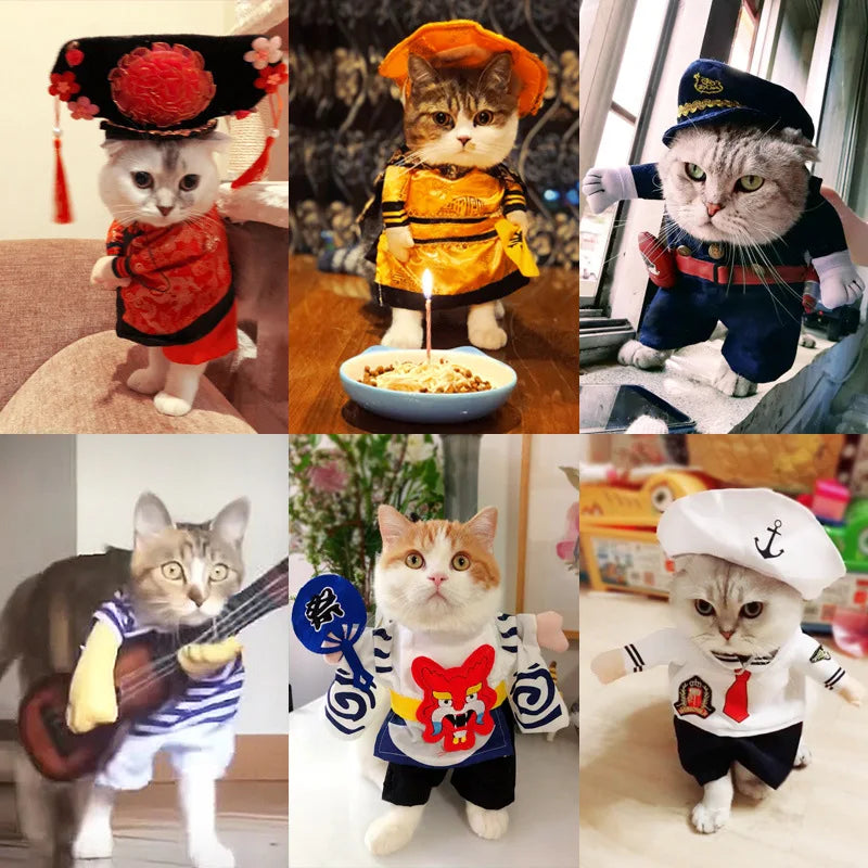 Adorable pets in creative outfits showcasing cute Halloween costumes for pets with unique accessories