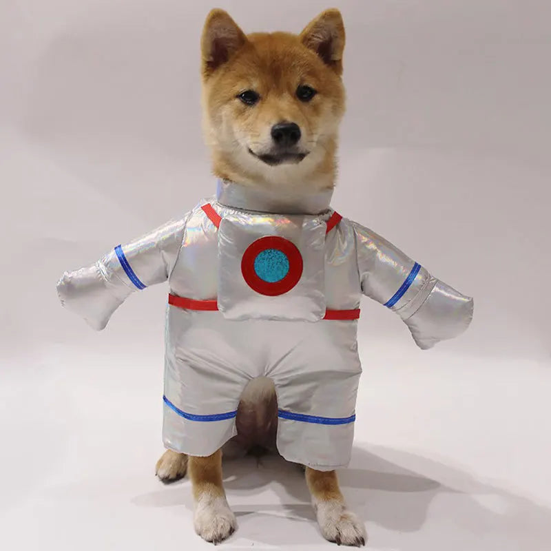 Shiba Inu in a silver astronaut costume, ideal for cute Halloween costumes for pets