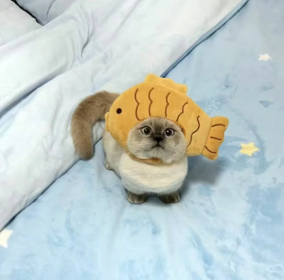 Cute knitted cat cosplay costume featuring a plush fish hat for playful pets