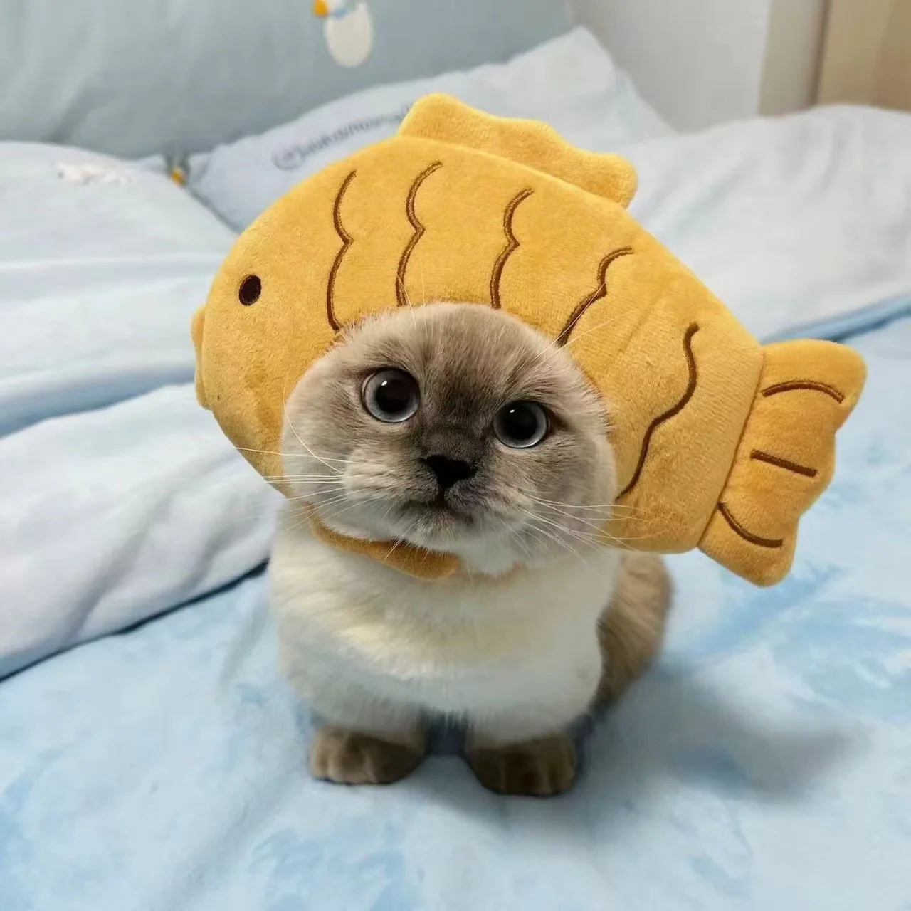 Adorable cat wearing a cute knitted cat cosplay costume with a fish hat