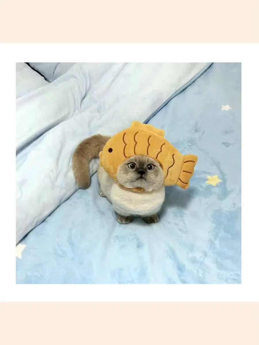 Adorable cat wearing a cute knitted cat cosplay costume with a fish hat for playful pets