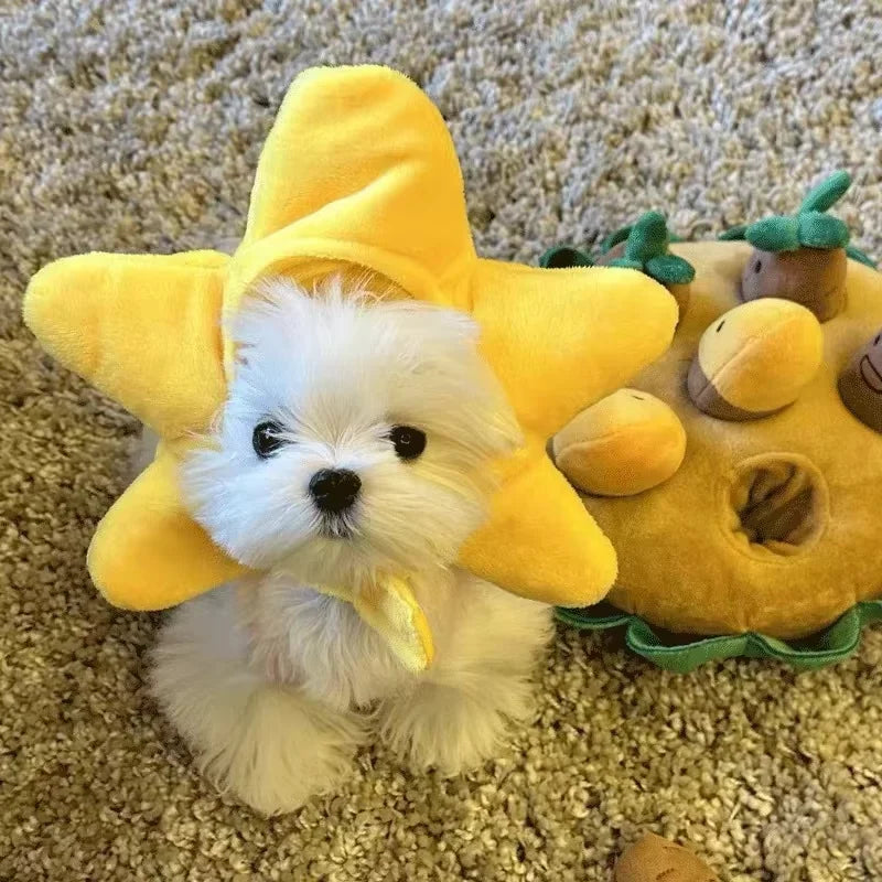 Cute knitted cat cosplay costume for pets featuring a bright star design in yellow